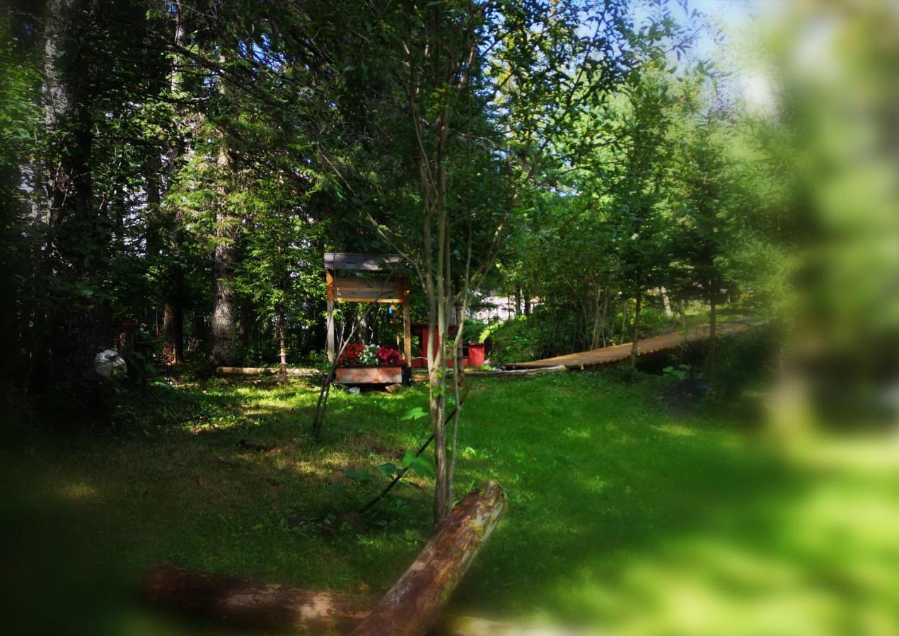 Motel Alexandrin Saint-Georges Bagian luar foto
